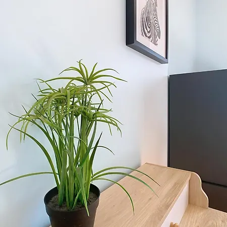Le Melunais, Face A La Seine Apartment *